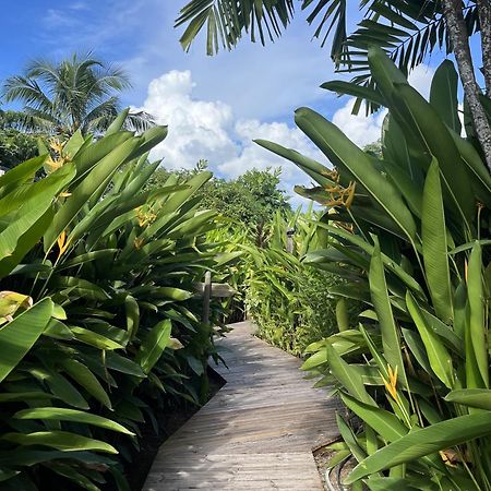Eden Paradise Ecolodge & Spa Sainte-Luce Eksteriør billede
