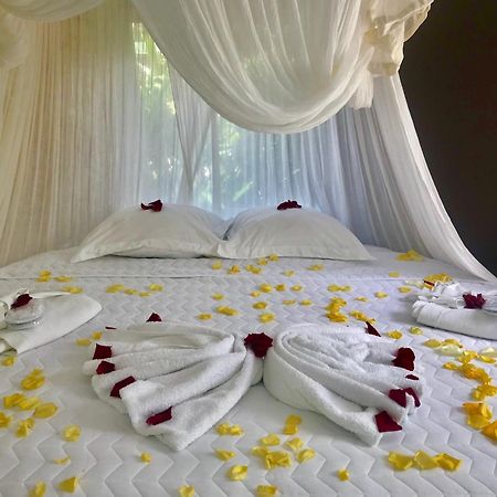 Eden Paradise Ecolodge & Spa Sainte-Luce Værelse billede