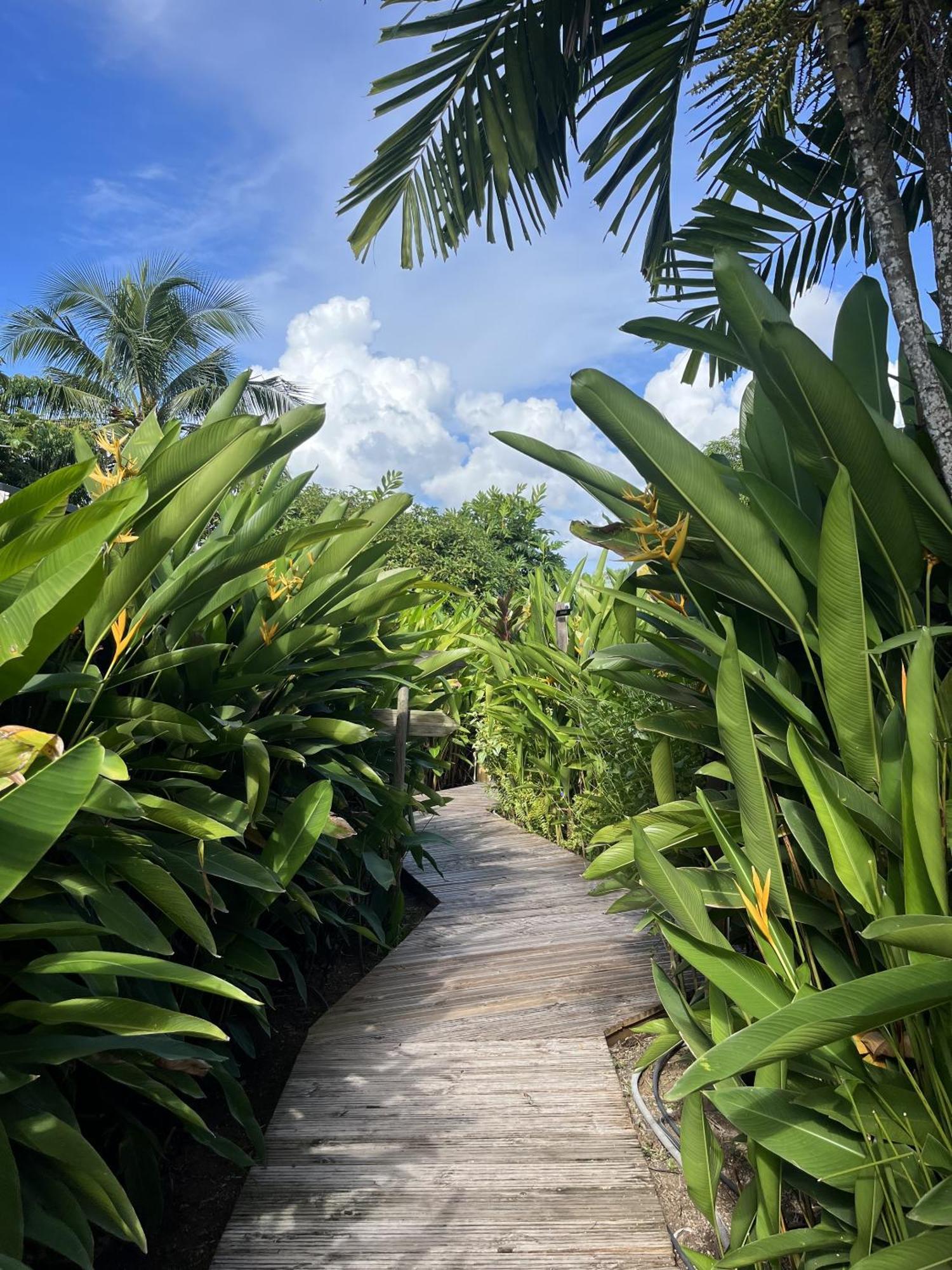 Eden Paradise Ecolodge & Spa Sainte-Luce Eksteriør billede