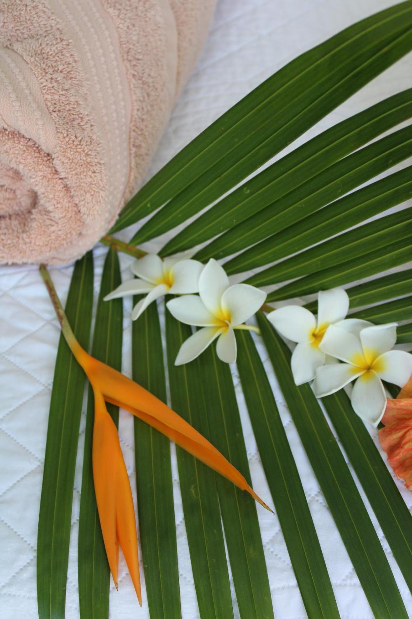 Eden Paradise Ecolodge & Spa Sainte-Luce Værelse billede