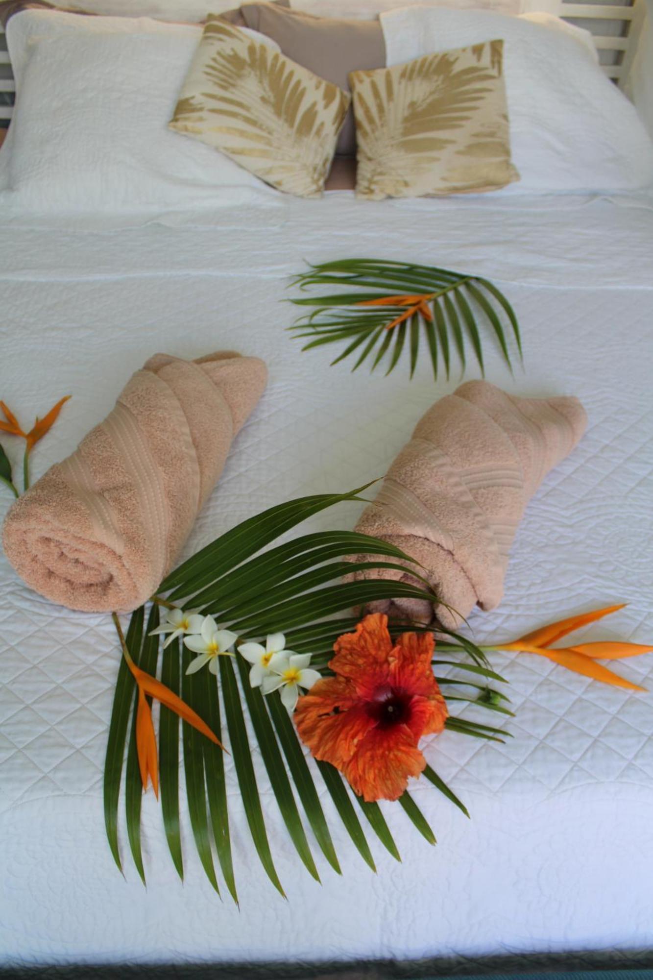 Eden Paradise Ecolodge & Spa Sainte-Luce Værelse billede