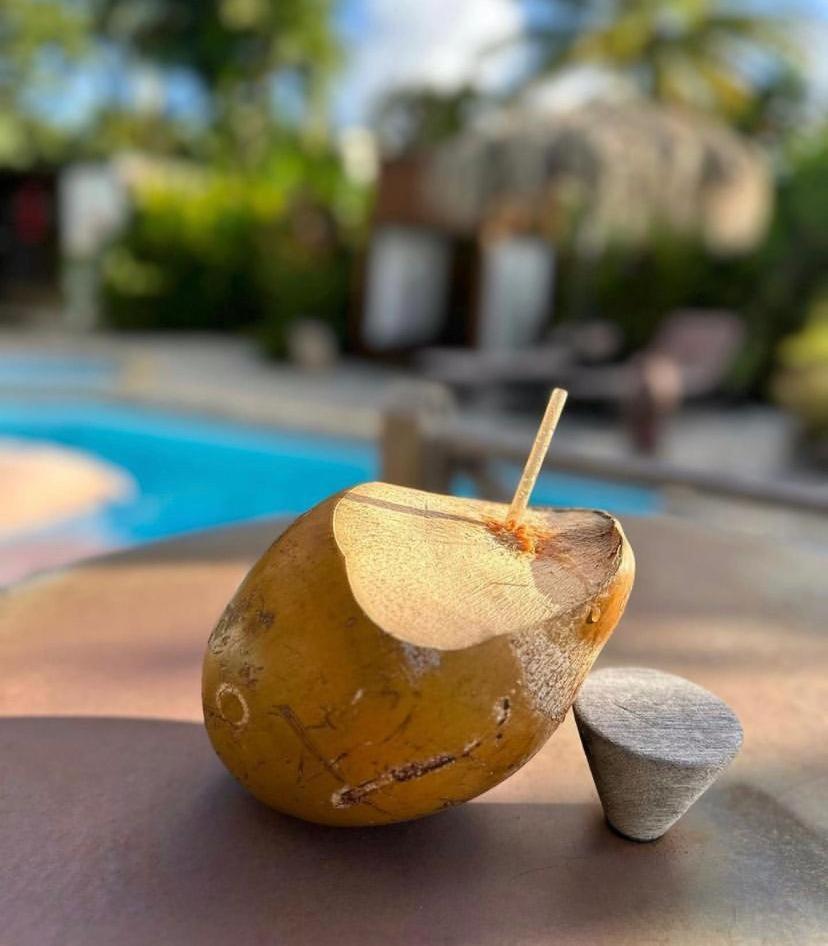 Eden Paradise Ecolodge & Spa Sainte-Luce Eksteriør billede